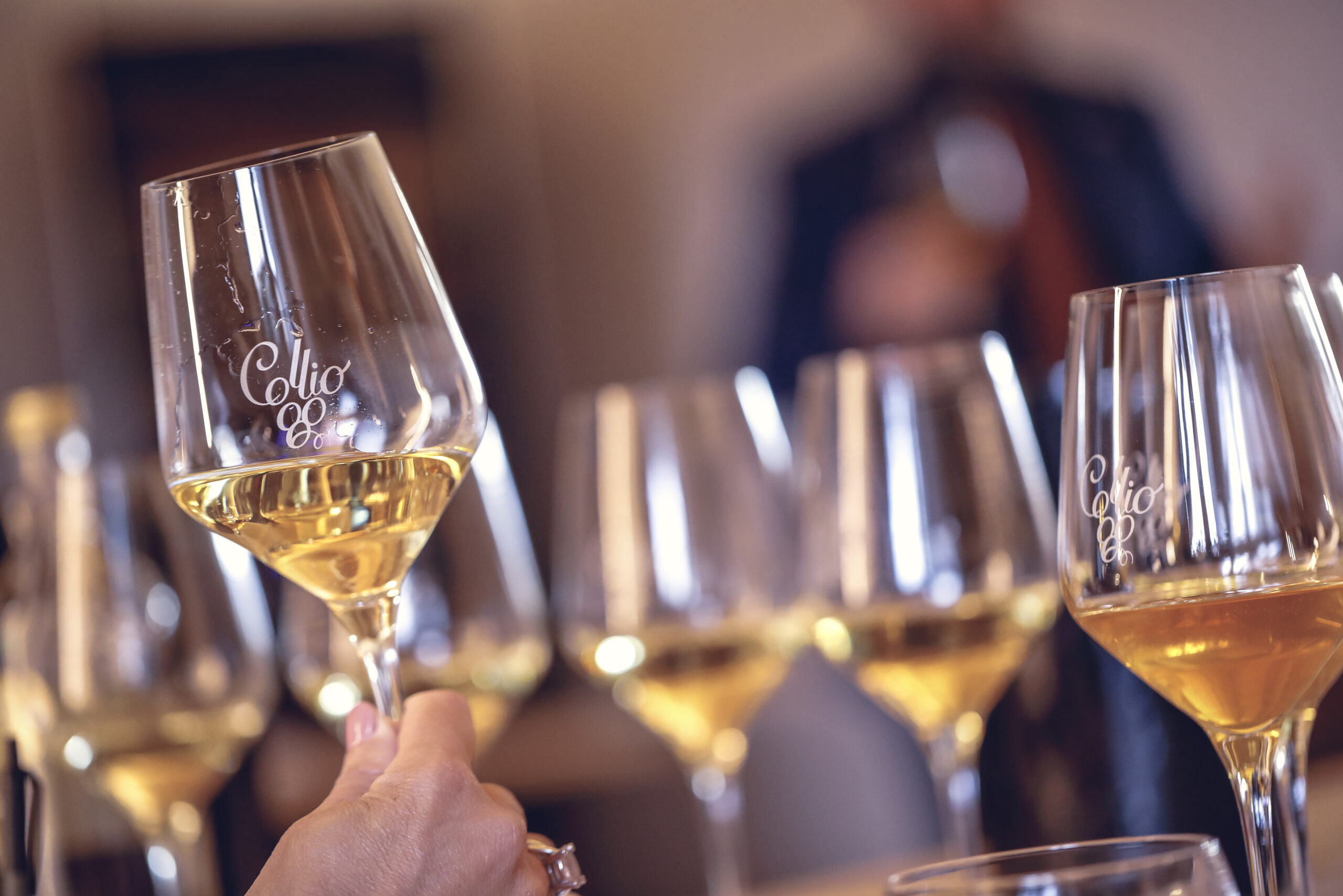 Seconda edizione di Collio Evolution. Protagonista di quest’anno sarà il Pinot Grigio